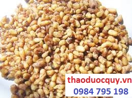 Bán hạ/ Bán hạ chế