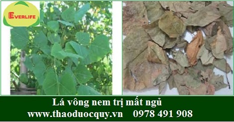 Lá vông nem/ Lá vông