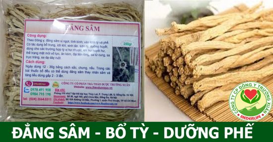 Đẳng Sâm/ Đảng Sâm
