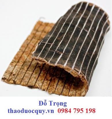 Quỷ Tiên Mộc