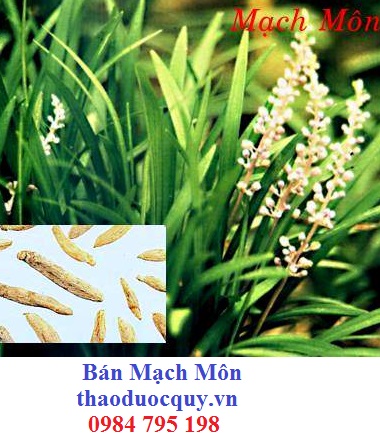 Ái Cửu
