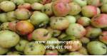 Món ăn thuốc cho người bị xơ vữa mạch máu