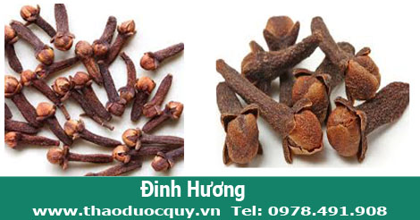 đinh hương