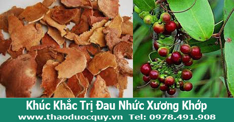 Khúc khắc hay còn gọi là thổ phục linh