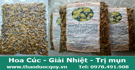 hoa c&uacute;c v&agrave;ng. kim c&uacute;c
